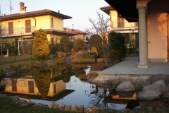 Cologno2